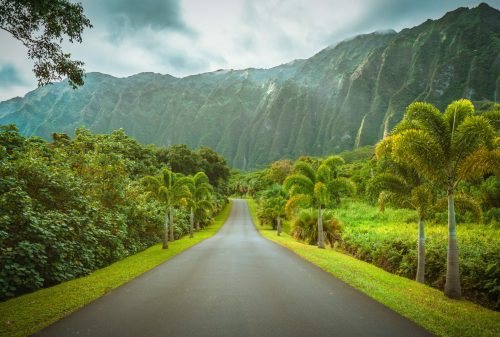 Botanischer Park Ho’omaluhia, Oahu, Hawaii Shutterstock 1833685522