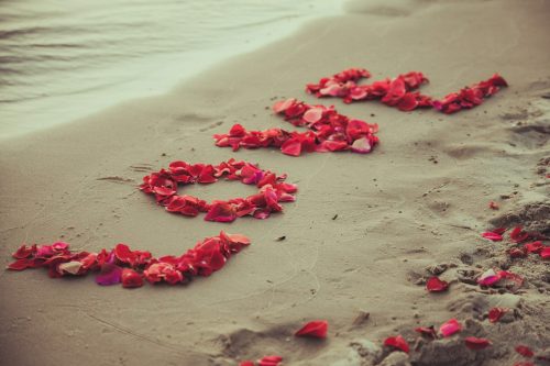 Caption,Word,Love,In,The,Sand,Of,The,Sea.,Love