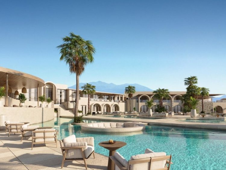 Poollandschaft mit Liegen und Palme
