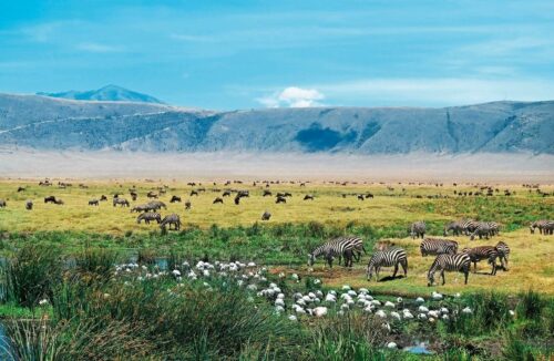 Serengeti Von oben