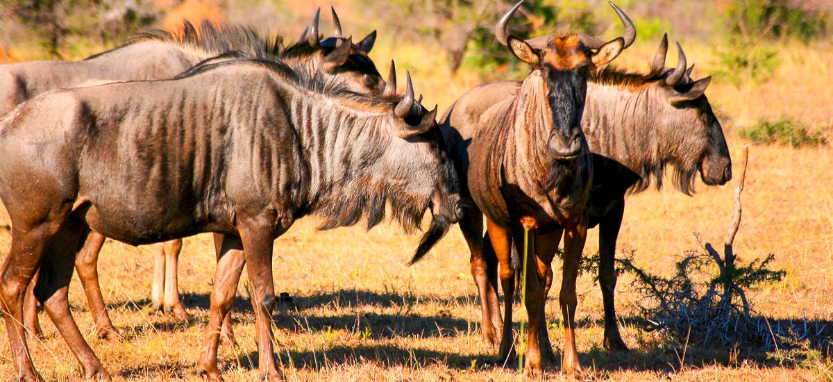 Südafrika Rundreise