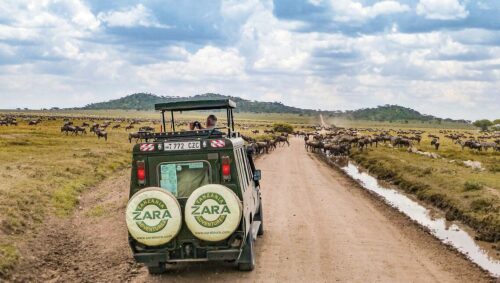 Tansania Jeep Safari