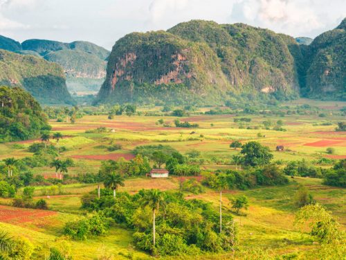Vinales Vinales